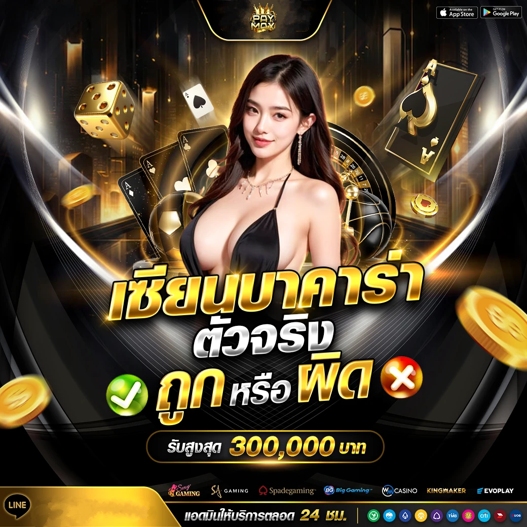 paymax2 box