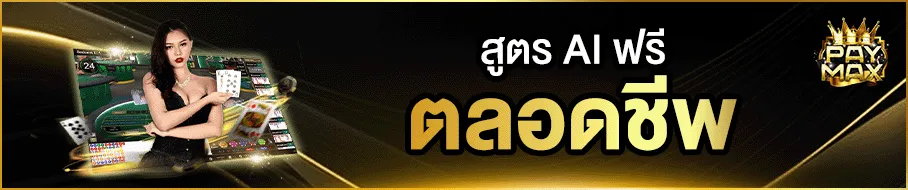 paymax2 promotion