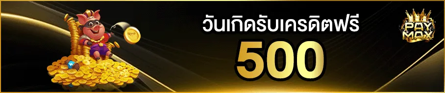 paymax2 promotion