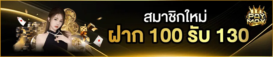 paymax2 promotion
