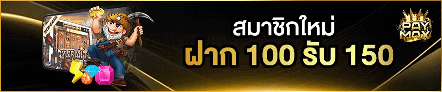paymax2 promotion