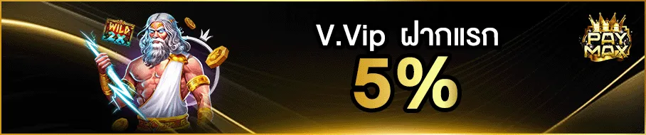 paymax2 promotion